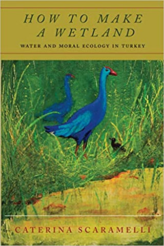 How to Make a Wetland: Water and Moral Ecology in Turkey by Caterina Scaramelli