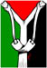 Palestine Slingshot Pin