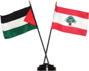 Small Palestine/Lebanon Flag with Stand
