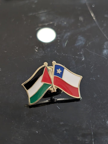 Palestine-Chile Pin