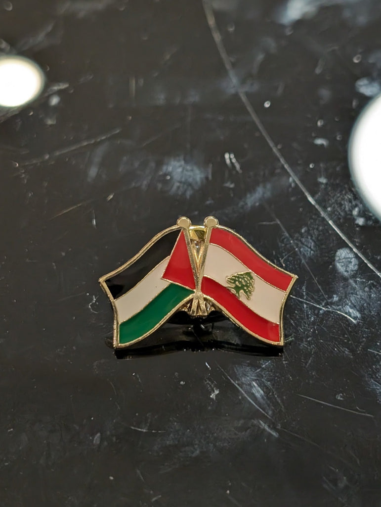 Palestine-Lebanon Pin