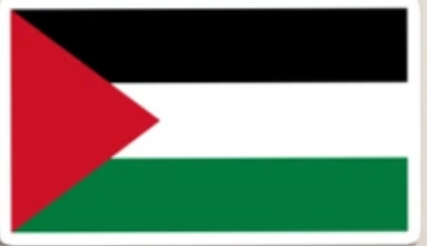 Palestine Flag Magnet