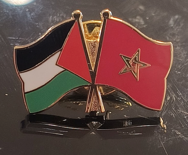 Palestine-Morocco Pin
