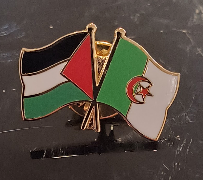 Palestine-Algeria Pin