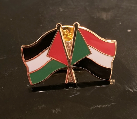Palestine-Sudan Pin