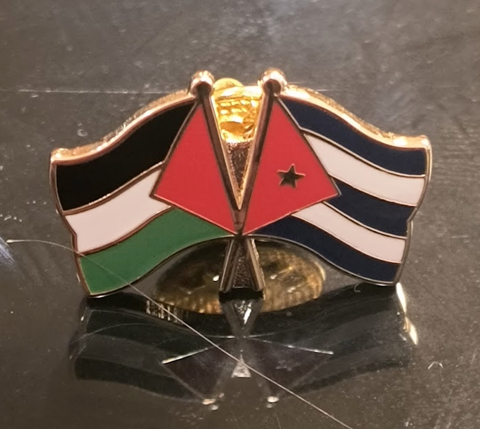 Palestine-Cuba Pin
