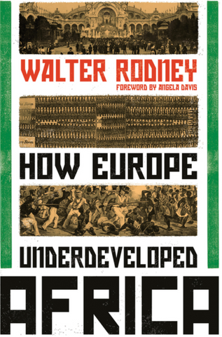 How Europe Underdeveloped Africa by Walter Rodney