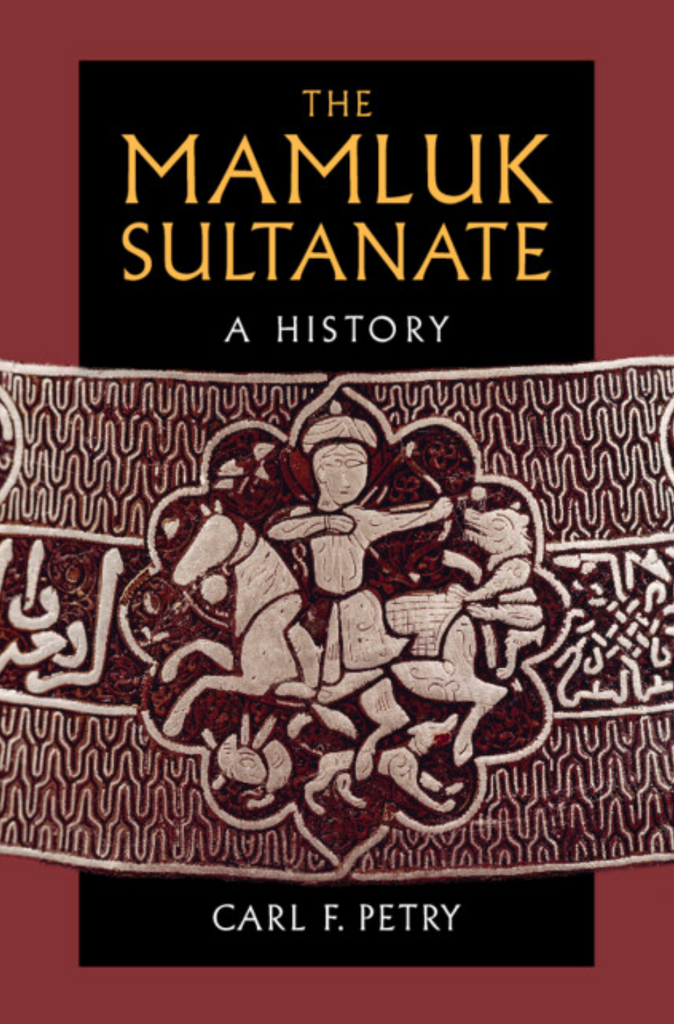 The Mamluk Sultanate by Carl F. Petry