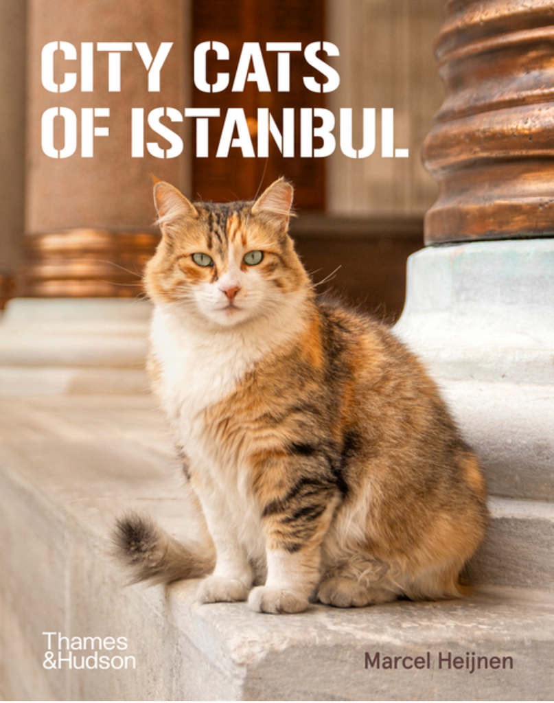 City Cats of Istanbul by Marcel Heijnen