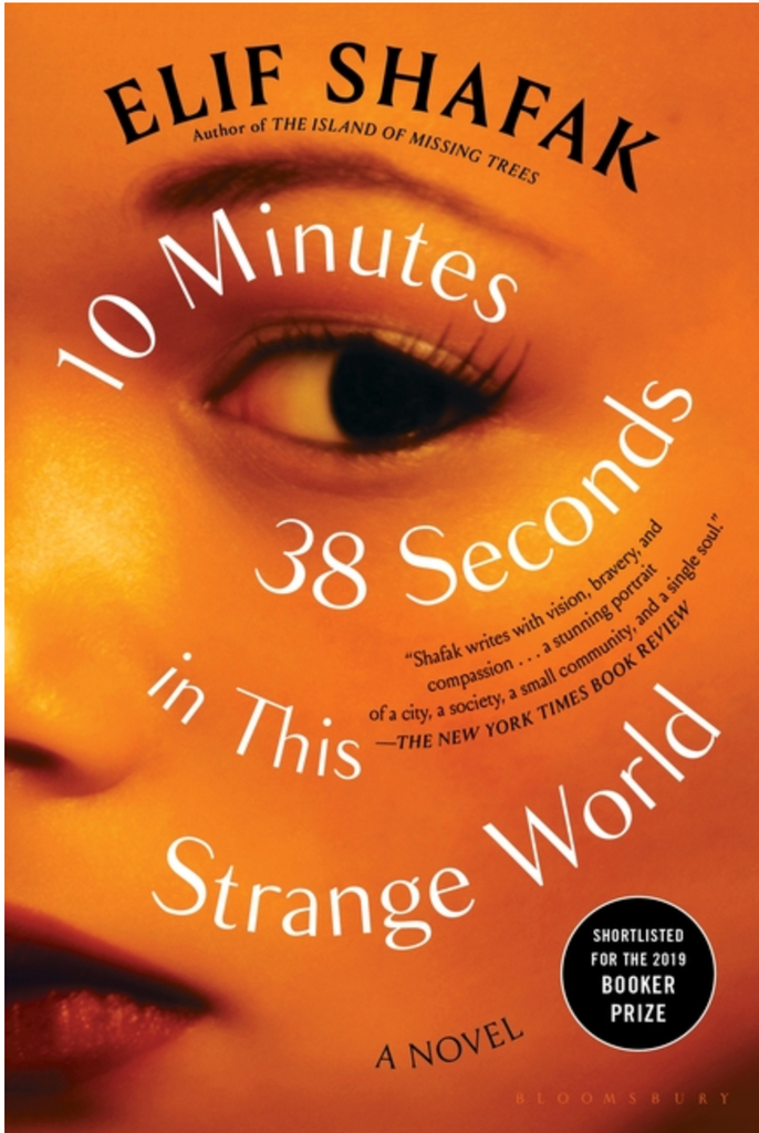 10 Minutes 38 Seconds in This Strange World by Elif Shafak