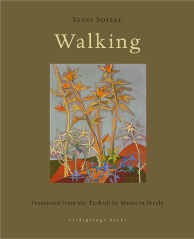 Walking by Sevgi Soysal