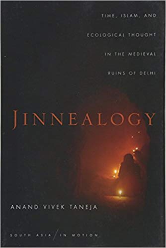 Jinnealogy: Time, Islam, and Ecological Thought in the Medieval Ruins of Delhi by Anand Vivek Taneja