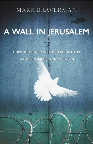 A Wall in Jerusalem: Hope, Healing, and the Struggle for Justice in Israel and Palestine by Mark Braverman