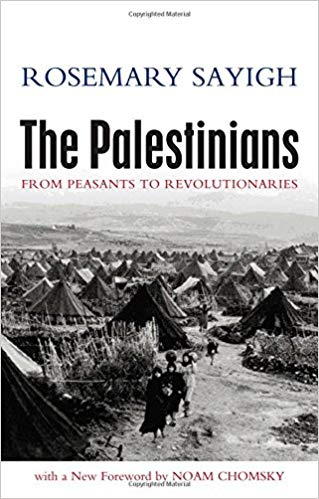 The Palestinians: From Peasants to Revolutionaries by Rosemary Sayigh