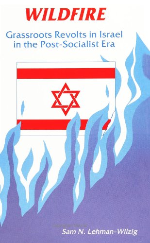 Wildfire: Grassroots Revolts in Israel in the Post-Socialist Era by Sam N. Lehman-Wilzig