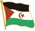 Western Sahara Flag Pin