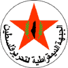 Democratic Front for the Liberation of Palestine (DFLP) Pin