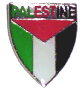 Palestine Shield Pin