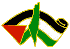 Map and Flag Palestine Pin