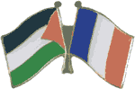 Palestine and France Flags Pin