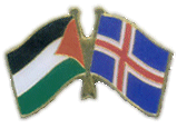 Palestine and Iceland Flags Pin