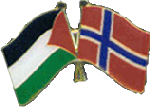 Palestine and Norway Flags Pin