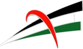 Palestine Youth Pin