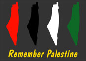 Remember Palestine Pin