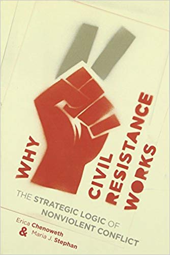 Why Civil Resistance Works: The Strategic Logic of Nonviolent Conflict
