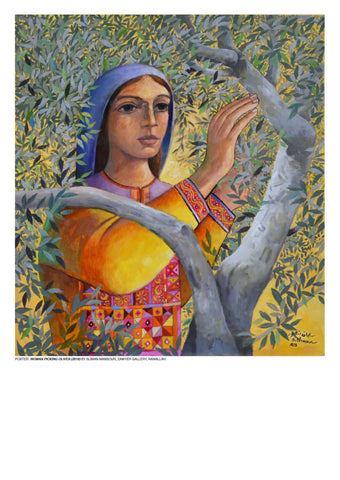 Woman Picking Olives by Sliman Mansour